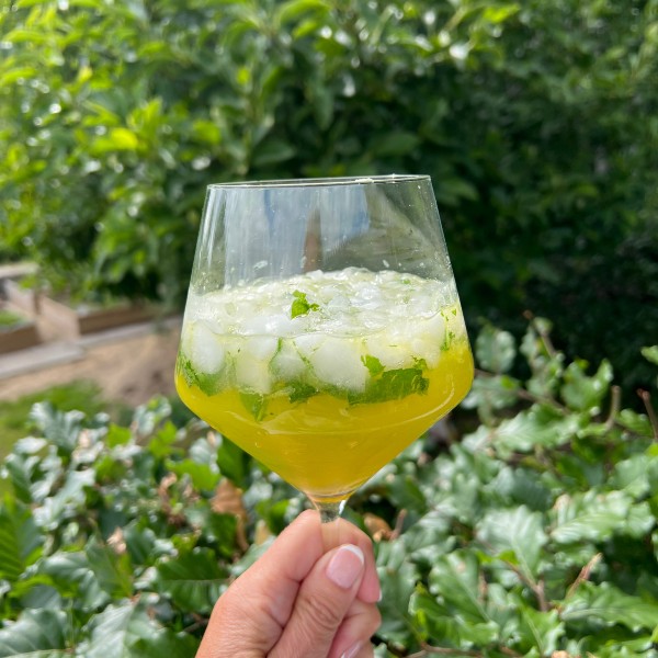 MAngo mojitto i et stort glas på stilk som bliver holdt af en hånd med grønne blade fra træer i baggrunden